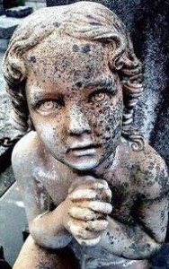 10649711_10152828160349790_2832789695426070155_n