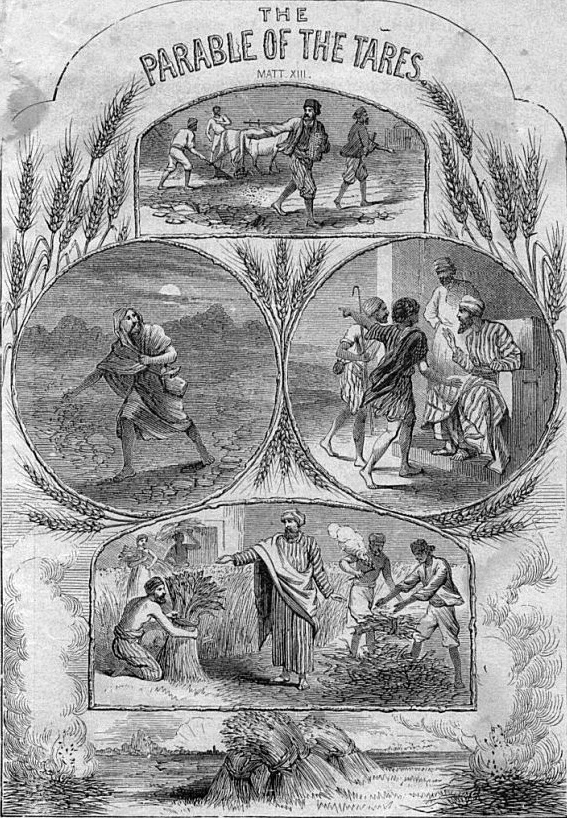parable-of-the-tares